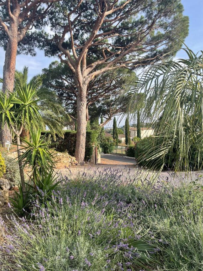 Bed and Breakfast Paradis Provencal Сент-Максим Экстерьер фото